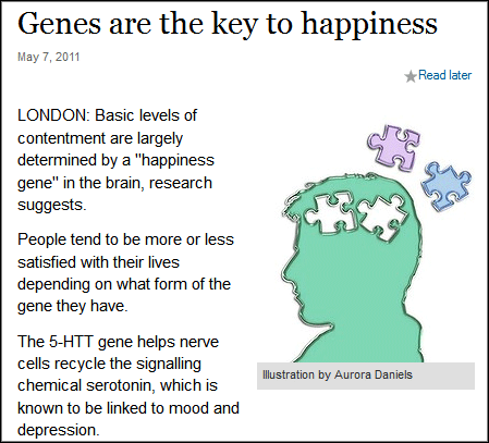 NICENESS GENE+aethiopien-botschaft.de